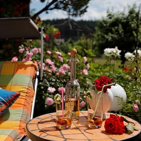 Apartment Wohlfuehl-ferienwohnungen Kirchberger Bodenmais