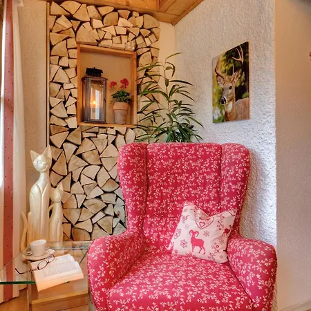 Wohlfuehl-ferienwohnungen Kirchberger Apartment *